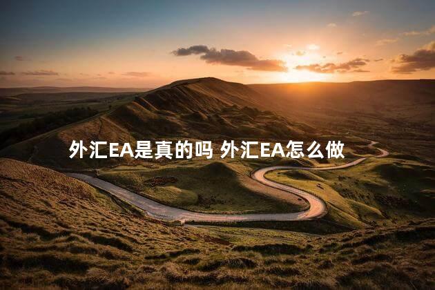 外汇EA是真的吗 外汇EA怎么做